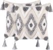 Boho Tufted Pillow Cover 18 x 18 Inches 1/2PCS Throw Pillowcase Handmade Colorful Decorative Cushion Case with Tassel for Sofa Couch Chair Bed